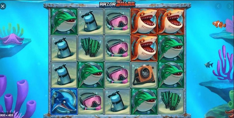 En savoir plus sur razor shark En savoir plus sur razor shark